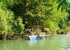 Bohol Loboc River